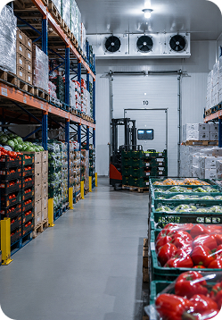 Food Industry