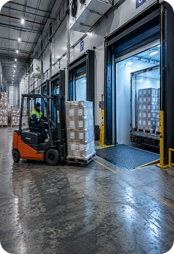 Logistics & Distribution